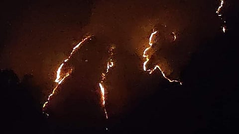 धधकते जंगल झुलसता जीवन