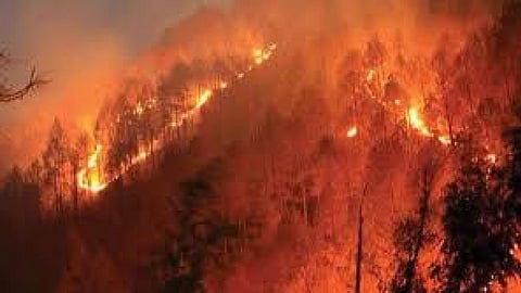 जंगल में आग