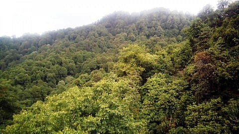 विरासत में मिली पर्यावरण प्रेम की सीख