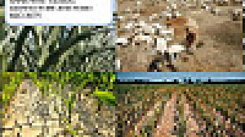 ग्लोबल वार्मिंग