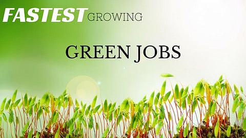 पर्यावरण संरक्षण में विशेषज्ञता - ग्रीन जॉब्स