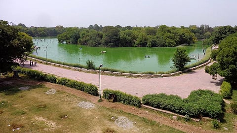 hauz khas lake