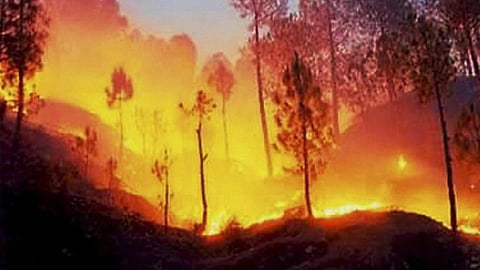 अग्नि के कहर से वनों को बचाना जरूरी।