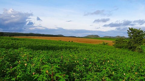 हिवरे बाजार : पानी की पैठ का एक आदर्श गांव।