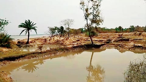 Ghodamara Island is also slowly absorbed into the water.