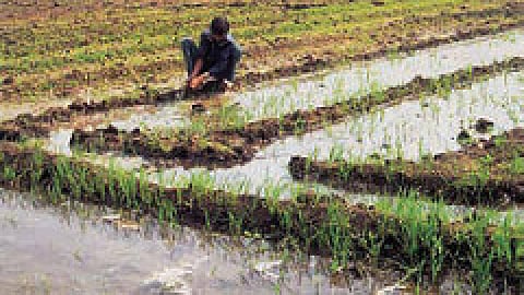 जल विकास योजना से बनेगी बात