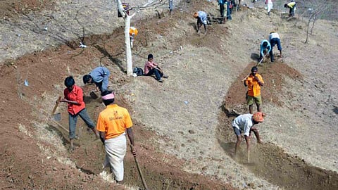 हाथीपावा पहाड़ी पर श्रमदान करते आदिवासी