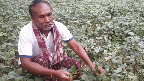 जैविक खेती के गुर सिखा रहे है किसान