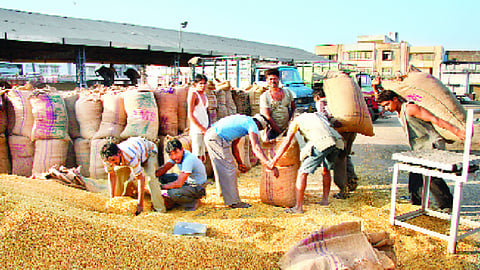 उत्तराखंड में करें कांट्रेक्ट फार्मिंग, मंडी में फसल बेचने की अनवार्यता भी खत्म