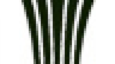 sewage water management