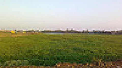 माढ़ो ताल