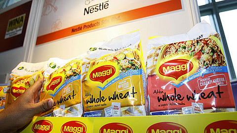 maggi