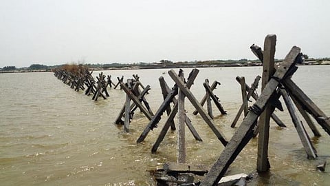 कोसी तटबंध तोड़ने का सच