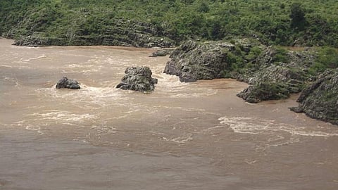 नर्मदा नदी (Source: Wikipedia commons)