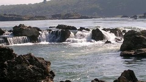 नर्मदा नदी