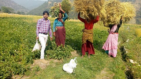 जैविक खेती को अपनाता उत्तराखंड