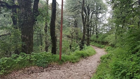 नैनीताल: रास्तों की समस्या