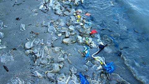 plastic waste