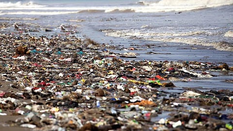 Image Source The Independent