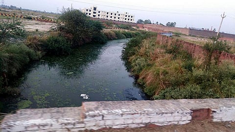 polluted river