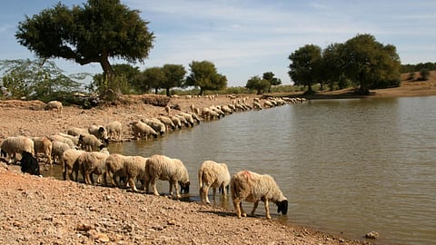 बुझानी होगी धरती की प्यास।