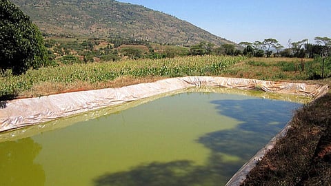 चन्द दिनों की ही जिन्दगी बाकी है