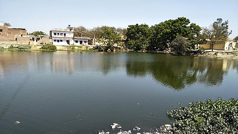 हरपुर बोचहा प्राकृतिक आपदा को बनाया वरदान