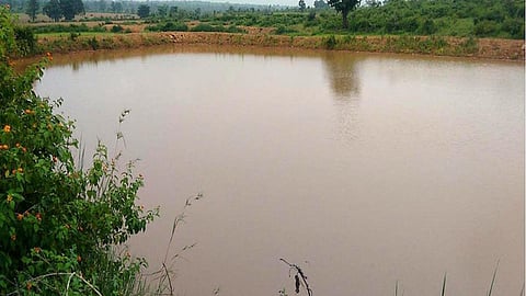 pond
