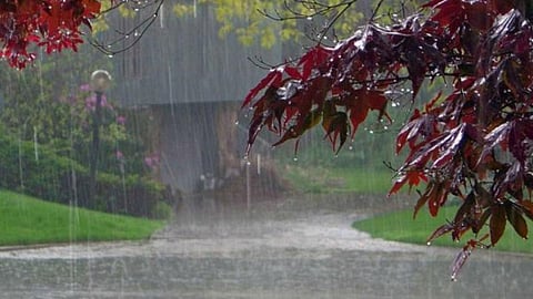 मौसम बदलने से खोता जा रहा है बारिश का उत्सव।