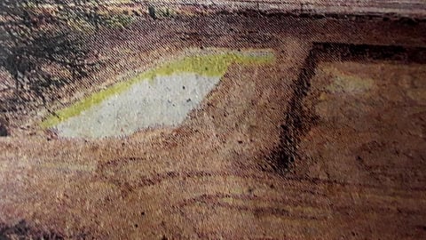 rainwater harvesting