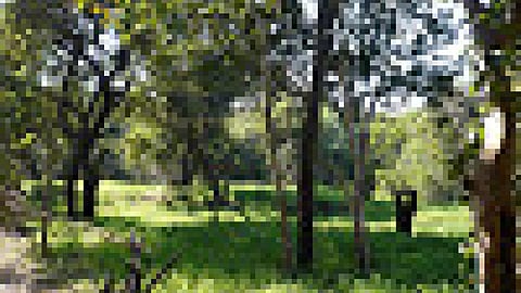 ऋषि खेती