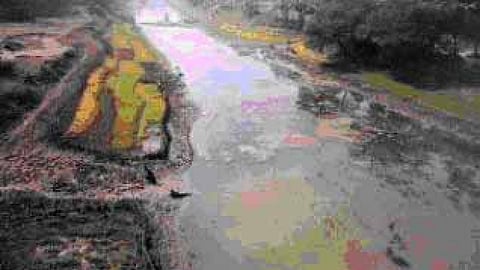 नदियों को बचाने के लिए नहरों से पानी छोड़ा जा रहा है