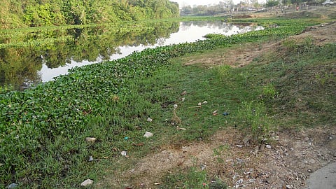 गायब होती जीवनरेखा