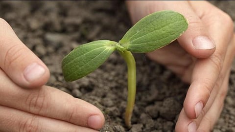 पर्यावरण को बचाना बेहद जरूरी।