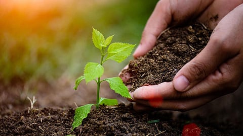 पर्यावरण को बचाने के लिए जीवनशैली में बदलाव जरूरी।