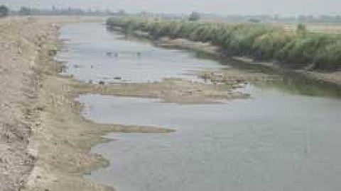 शारदा सहायक नहर