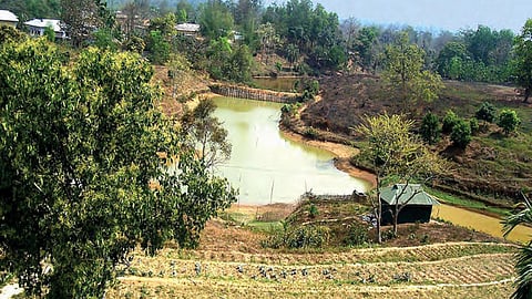 झींगा मछली की खेती