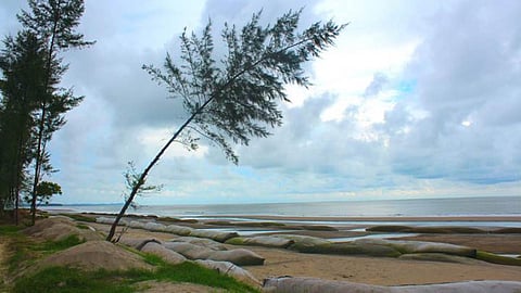 खतरे में सुंदरवन की पारिस्थितिकी