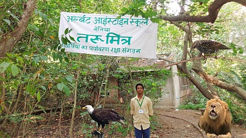 तरुमित्र जंगल।