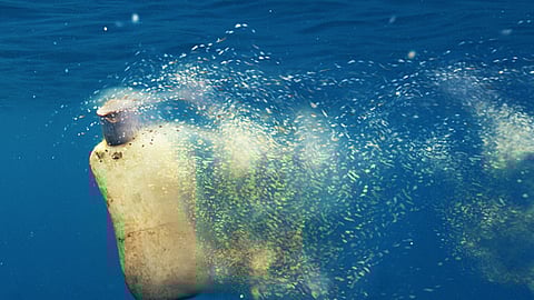 गंगा का पानी प्लास्टिक और माइक्रोप्लास्टिक से प्रदूषित, अध्ययन में पता चला