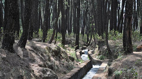 अटारी खेजड़ा का रास्ता