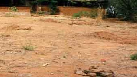 ऊसर भूमि के लिए मेड़बंदी तकनीक