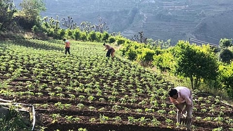 उत्तराखंड बजट 2020-21 से किसानों को होंगे ये फायदे