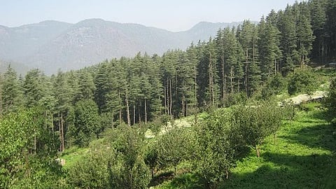 वनों की परिभाषा बदलने पर सरकार से जवाब तलब