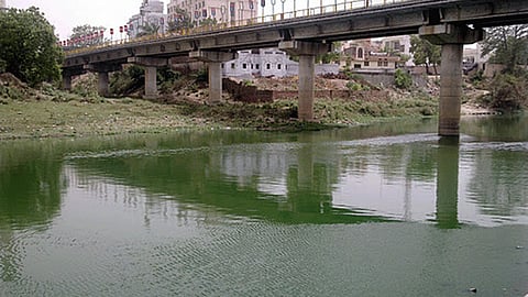 वाराणसी को पहचान दिलाने वाली वरुणा नदी का पानी बहुत जहरीला है