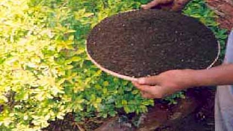 केचुएं से बना खाद