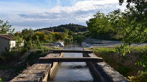 सिंचाई जल-प्रबंधन, फोटो: needpix.com