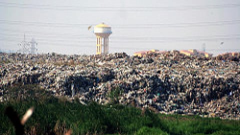 waste management