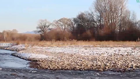विश्व मे पानी के लिये 265 लड़ाइयां हुई