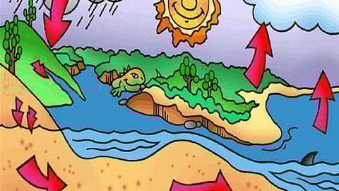 water and our responsibility